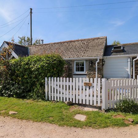 Toad Hall Cottage Totnes Exterior photo